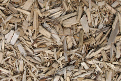 biomass boilers Gernon Bushes